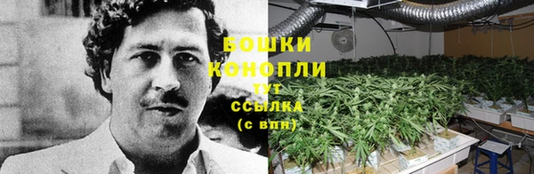 наркотики Гвардейск