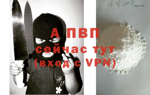 не бодяженный Гатчина